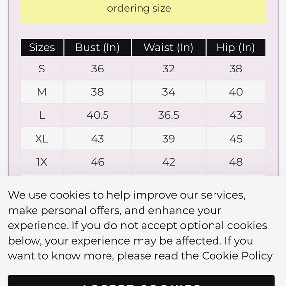 Women’s Lace Formal 3 PC. Set - Picture 15 of 15